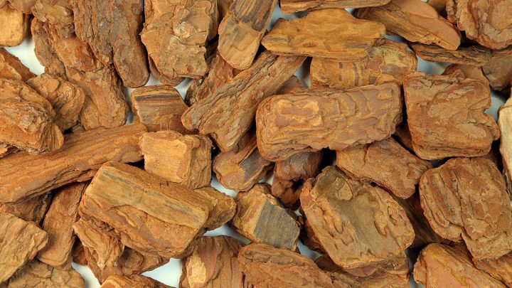 沉香木深度解读：属性特色、功能主治、药材性状及常用方剂？插图