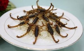 全蝎中药属性与功效作用：从性味到临床应用，附经典方剂插图
