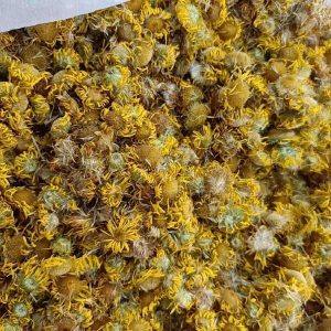 旋覆花：旋覆花里藏乾坤，降气化痰有奇方，裕亨中药课堂开讲？插图