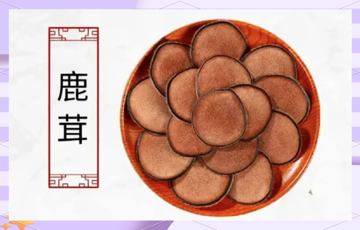 鹿茸：鹿茸中药属性的奥秘！性状、主治症状，方剂挑选关键何在？