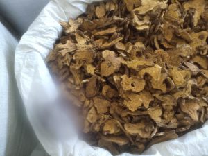 炒白术：解读属性功效，为您推荐健脾良方？插图