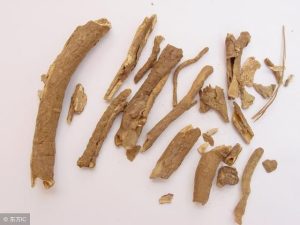 合欢花：合欢花开解郁愁，裕亨中药为您讲透属性功效与方剂？插图1