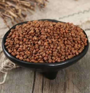 炒莱菔子：探索属性功效，消食化积方剂推荐？插图2