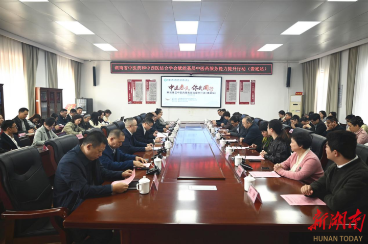 湖南省 “赋能基层中医药服务能力提升” 行动（娄底站）启动，助力基层中医药发展插图