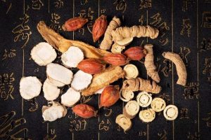 川楝木知识讲堂：属性解析、功能主治、药材性状与常用方剂？插图