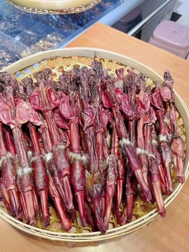 鹿肾：鹿肾中药属性你了解吗？性状、主治症状，土方选用要点？插图