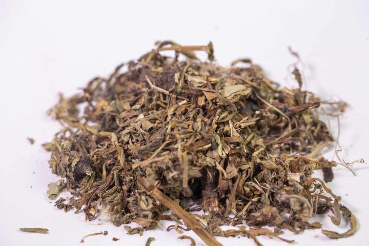 蒲公英：探索属性奥秘，深挖功能主治、药材性状及多样食用方案？