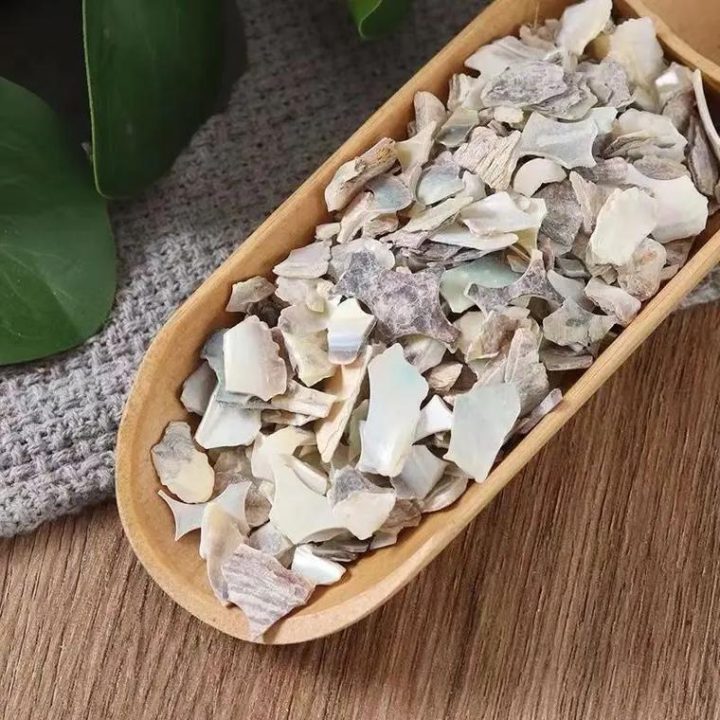 石决明：探寻石决明中药属性！性状特征与主治，土方应用怎样考量？插图