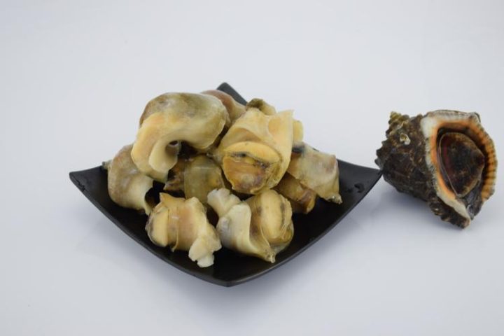 海螺壳：海螺壳中药属性解析！性状、主治情况，土方选用要点？插图