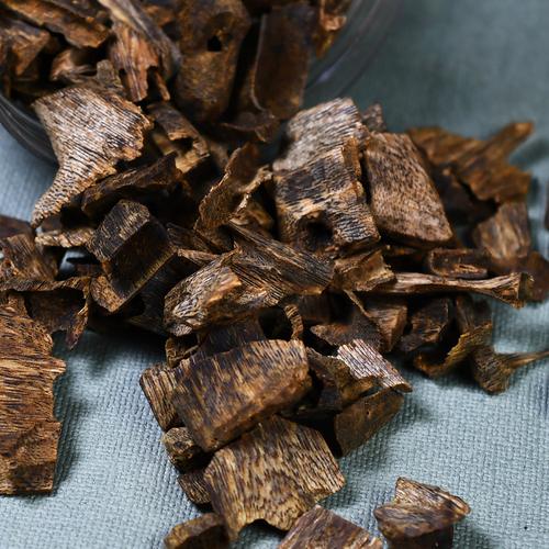 楠木根皮：楠木根皮属性与功效探索，特色方剂大集合?插图