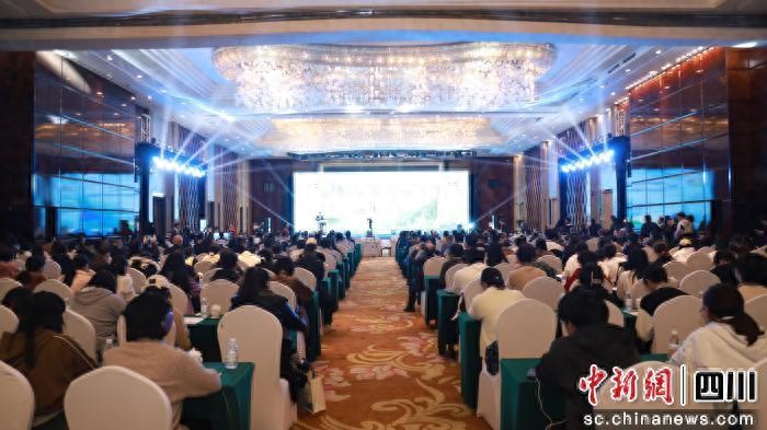 中华中医药学会骨伤科分会年会在泸召开，专家齐聚能为骨伤领域带来哪些新思路？插图