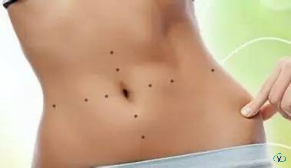 肥胖测试标准在线查询？插图