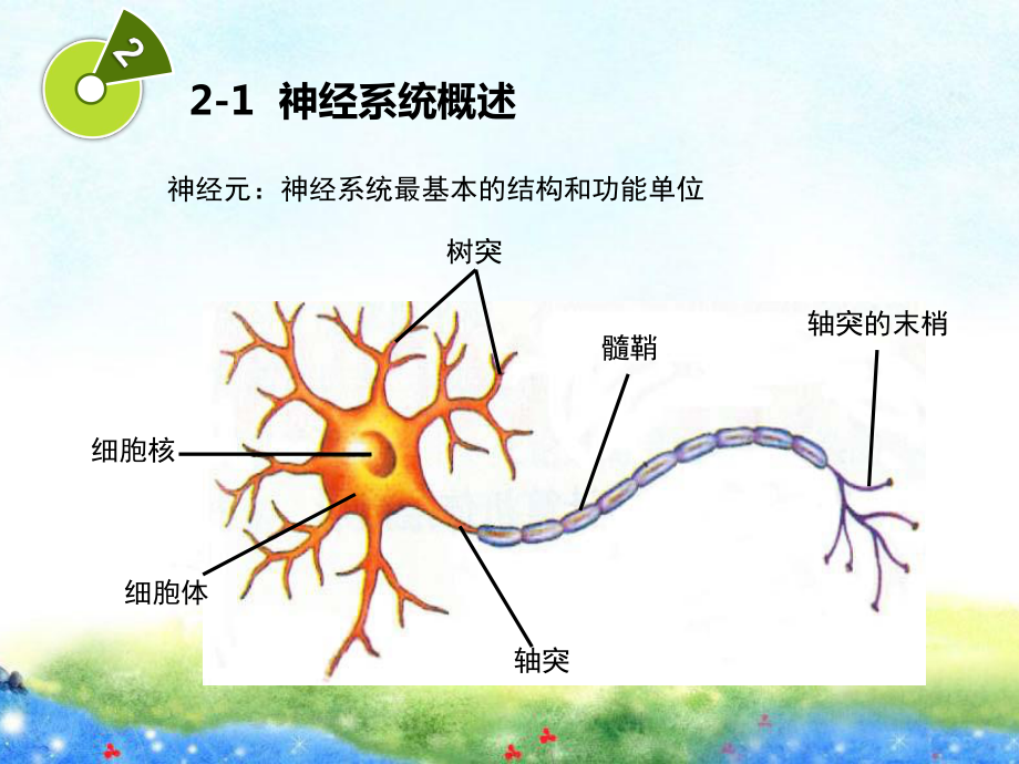 孩子癜痫的症状？插图1