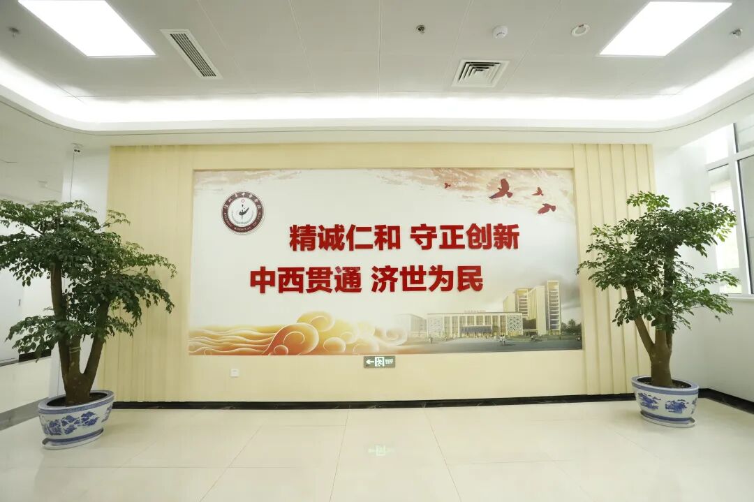 省级区域中医医疗中心验收通过+多项国家级荣誉加身 滨州市中医医院2025年高质量发展交出亮眼答卷插图7 省级区域中医医疗中心验收通过+多项国家级荣誉加身 滨州市中医医院2025年高质量发展交出亮眼答卷插图7