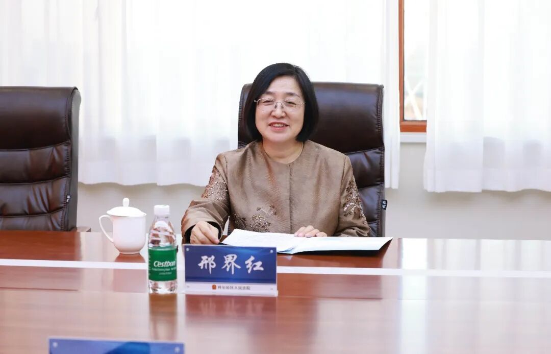 全国人大代表邢界红视察科尔沁区法院相关新闻标题集锦