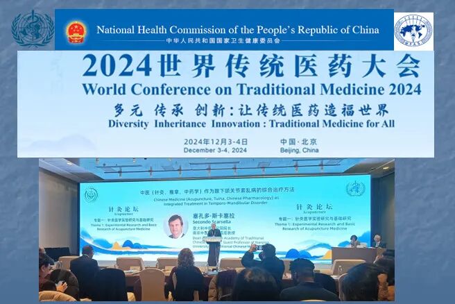 意大利中医师Dr. Dino与中医药有怎样的故事？插图4