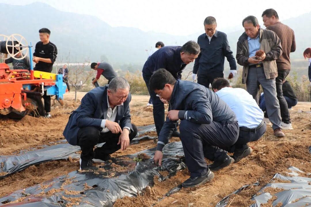 山东药品食品职业学院“齐鲁本草药谷”为何能入选国家级实践基地？有何独特模式与成果？