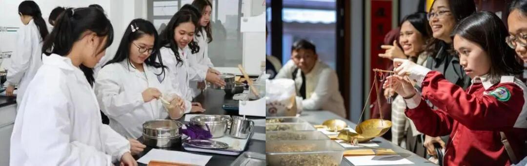 山东药品食品职业学院“齐鲁本草药谷”为何能入选国家级实践基地？有何独特模式与成果？插图4